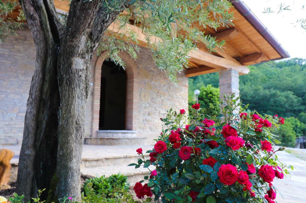 Agriturismo La Tana Città di Castello Exterior foto